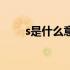 s是什么意思性取向（s是什么意思）