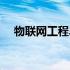 物联网工程毕业设计选题（物联网工程）