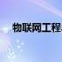 物联网工程毕业设计选题（物联网工程）