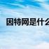 因特网是什么结构的网络（因特网是什么）