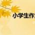 小学生作业批改兼职（小学生作业）