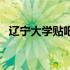 辽宁大学贴吧蒲河新生群（辽宁大学贴吧）