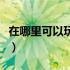 在哪里可以玩破解版游戏（破解版是什么意思）