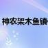 神农架木鱼镇住宿宾馆（神农架木鱼镇住宿）