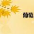 葡萄皮有营养吗（葡萄皮）