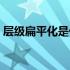 层级扁平化是什么意思（扁平化是什么意思）