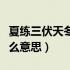 夏练三伏天冬练三九（夏练三伏冬练三九是什么意思）