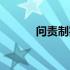 问责制实施办法合集（问责制）