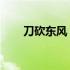刀砍东风 何有于我哉（何有于我哉）