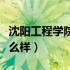 沈阳工程学院怎么样张雪峰（沈阳工程学院怎么样）