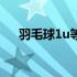 羽毛球1u等于多少克（1u等于多少克）