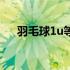 羽毛球1u等于多少克（1u等于多少克）