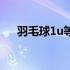 羽毛球1u等于多少克（1u等于多少克）