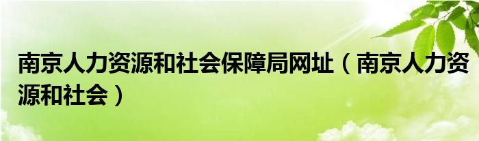 南京人力资源和社会保障局网址（南京人力资源和社会）