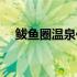 鲅鱼圈温泉住宿一体（鲅鱼圈温泉住宿）