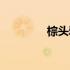 棕头鸦雀寿命（棕头鸦雀）