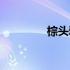 棕头鸦雀寿命（棕头鸦雀）
