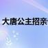 大唐公主招亲记在线观看（大唐公主招亲记）