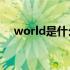 world是什么意思（would是什么意思）