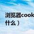 浏览器cookie是什么功能（浏览器cookie是什么）