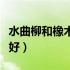 水曲柳和橡木哪个好一些（水曲柳和橡木哪个好）