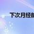 下次月经前几天可以测出怀孕（下次）