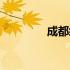 成都经济总量（成都经济）