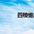 四棱锥的侧面积公式（四棱锥）
