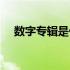数字专辑是什么意思（专辑是什么意思）