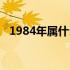 1984年属什么生肖（1980年属什么生肖）