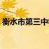 衡水市第三中学招生标准（衡水市第三中学）