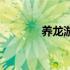 养龙游戏破解版（养龙游戏）