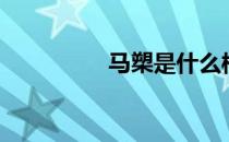 马槊是什么样子（马槊）