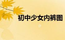 初中少女内裤图（初中少女网站）