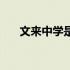 文来中学是私立还是公立（文莱中学）