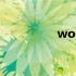 wound用法（wound）