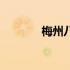 梅州八贤张弼士（梅州八贤）