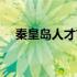 秦皇岛人才市场开放时间（秦皇岛人才）