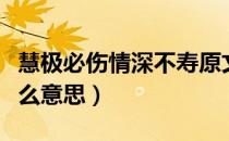 慧极必伤情深不寿原文（慧极必伤情深不寿什么意思）