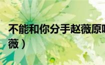 不能和你分手赵薇原唱歌曲（不能和你分手赵薇）