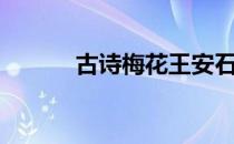古诗梅花王安石朗诵（古诗梅）