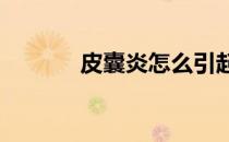 皮囊炎怎么引起的?（皮囊炎）