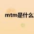 mtm是什么意思中文（mtm是什么意思）