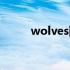wolves翻唱男（wolves男生版）