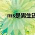 ms是男生还是女生（Ms指男人还女人）