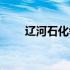 辽河石化领导班子成员（辽河石化）