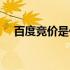 百度竞价是什么产品（百度竞价是什么）