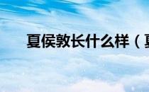 夏侯敦长什么样（夏侯悙还是夏侯敦）