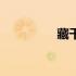 藏干地支对照表（藏干）