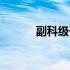 副科级干部是什么级别（副科）